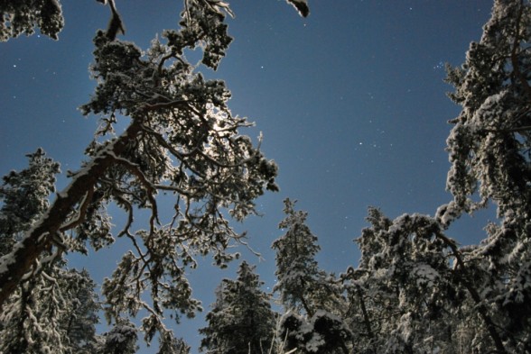 Pirunvuori 7.1.2012
