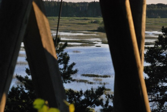 Puurijärvi