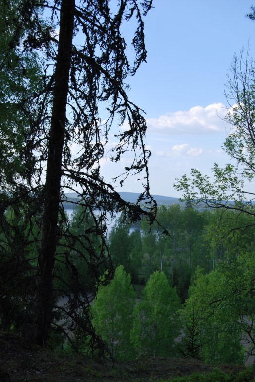 Pentin linnavuori