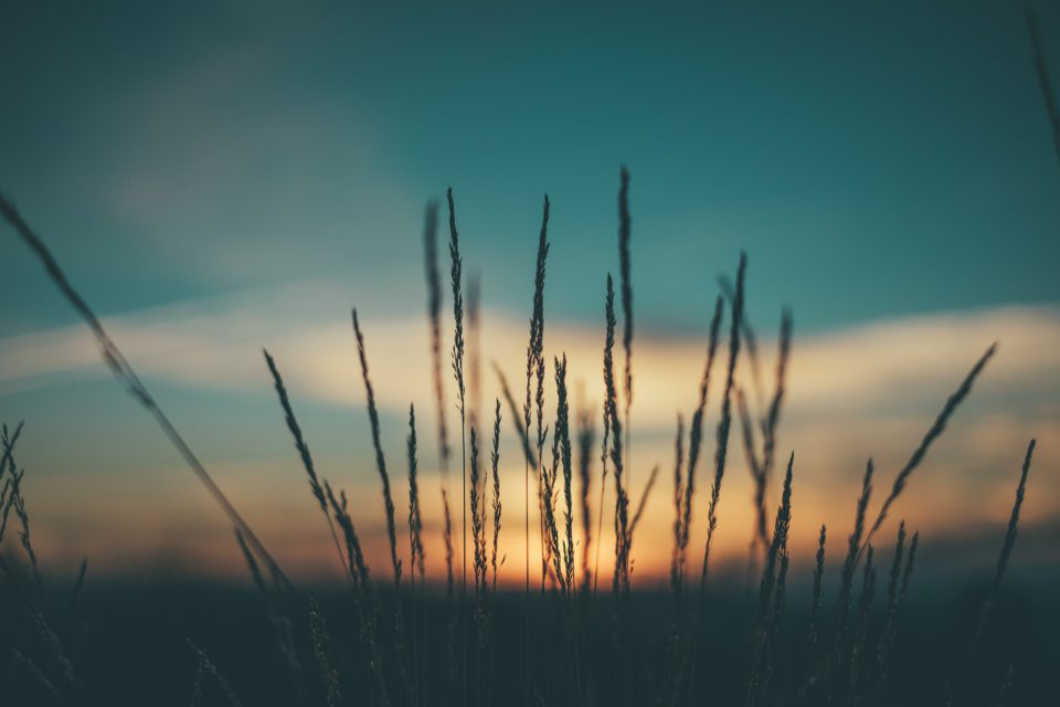 Aurinko
