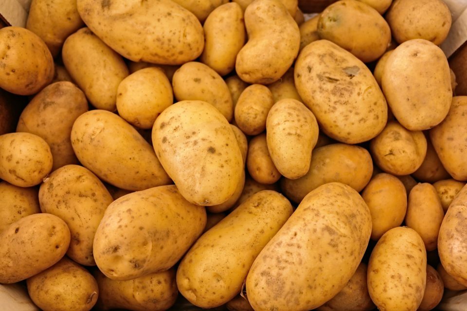 Peruna