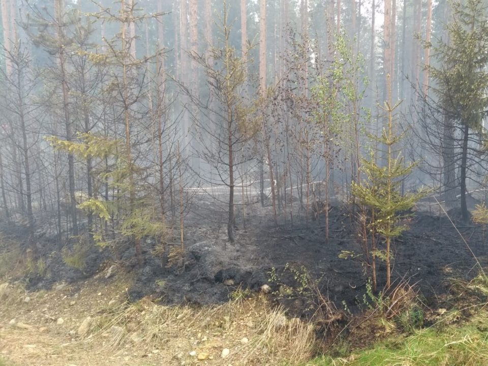Maastopalo, Lamminsuontie