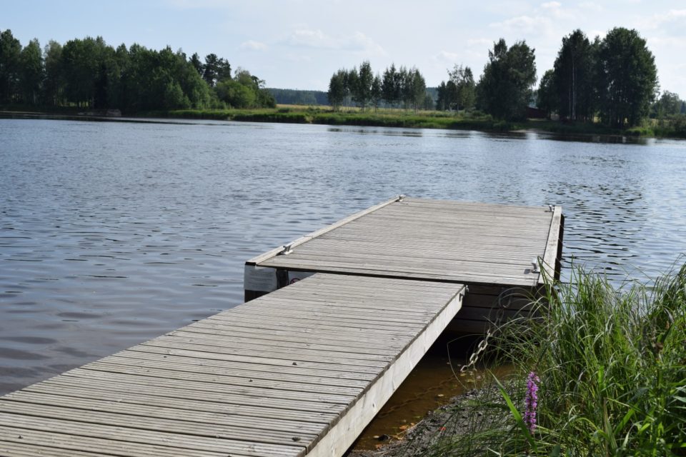 Lossikuja