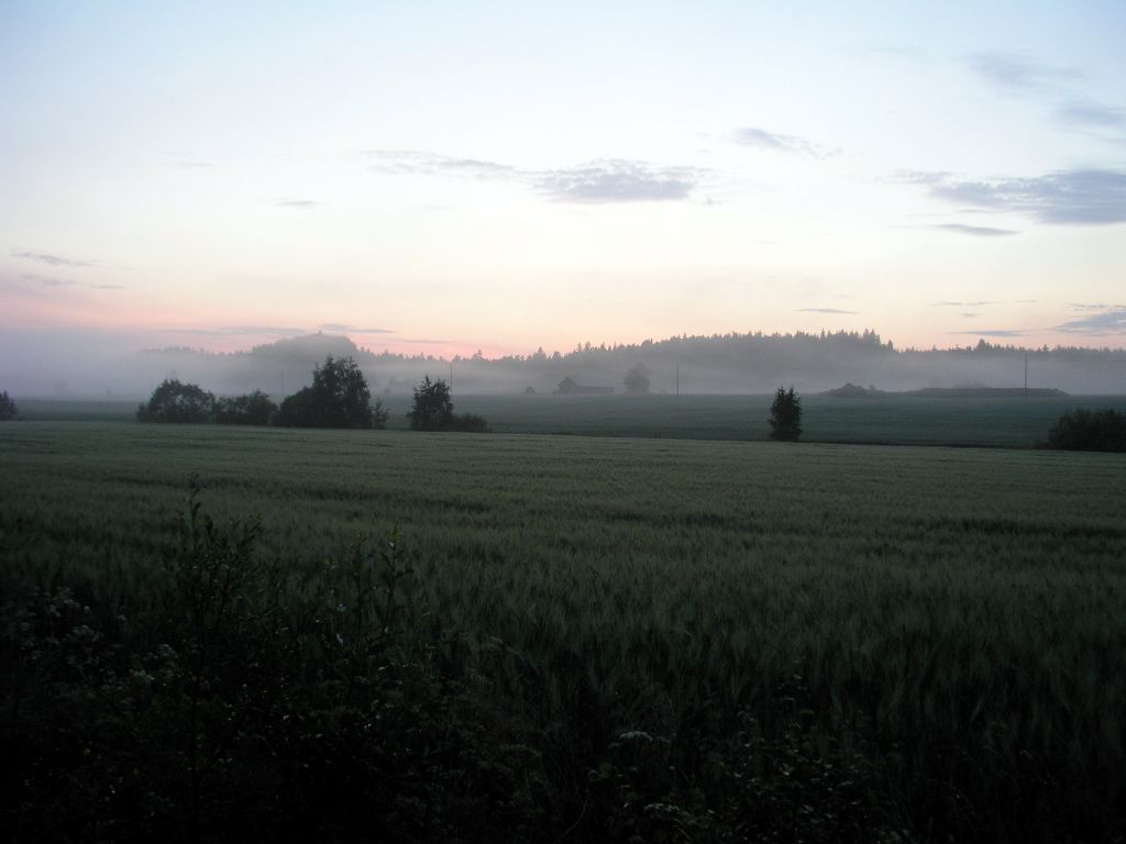 Kesäyö