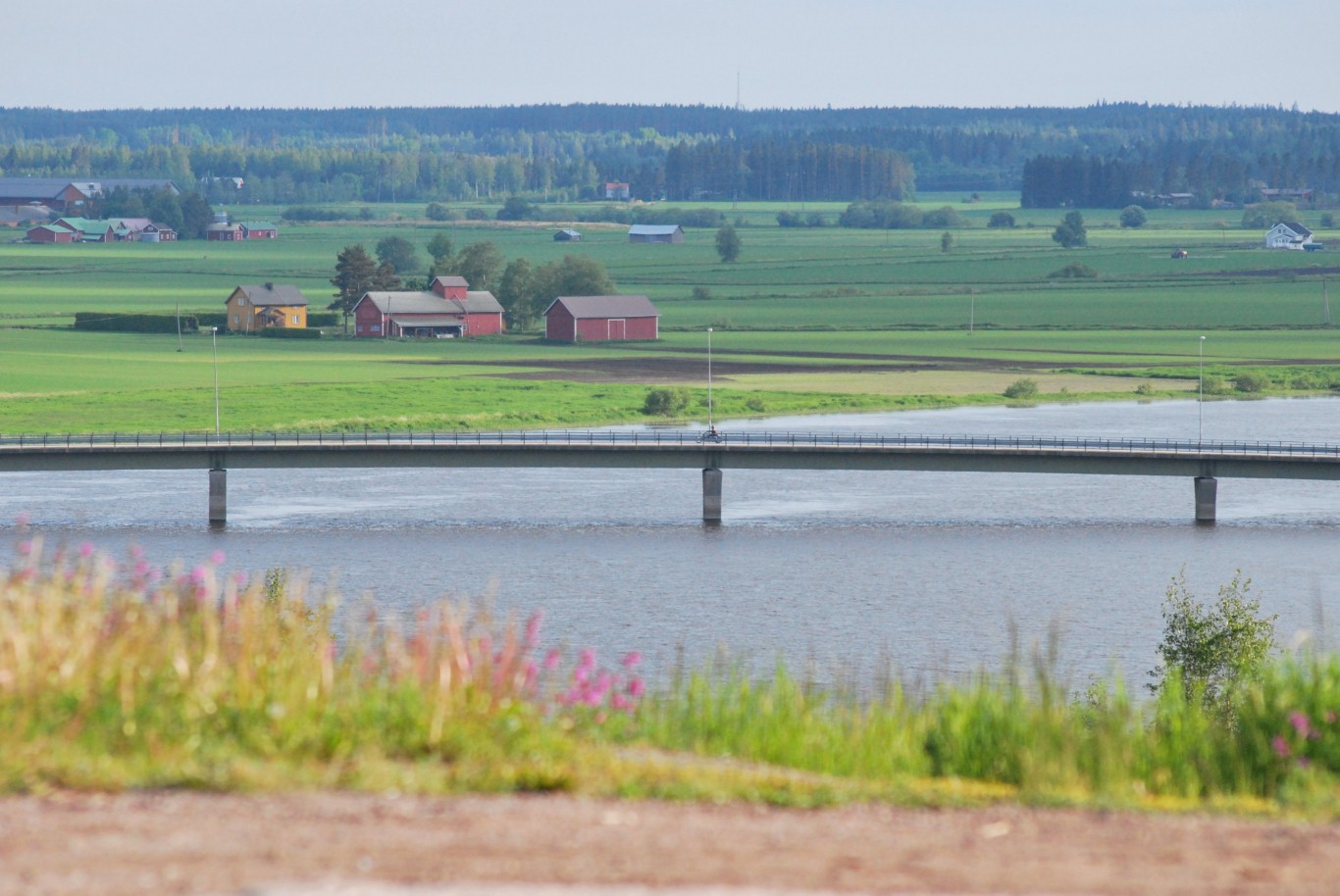 Ripovuori