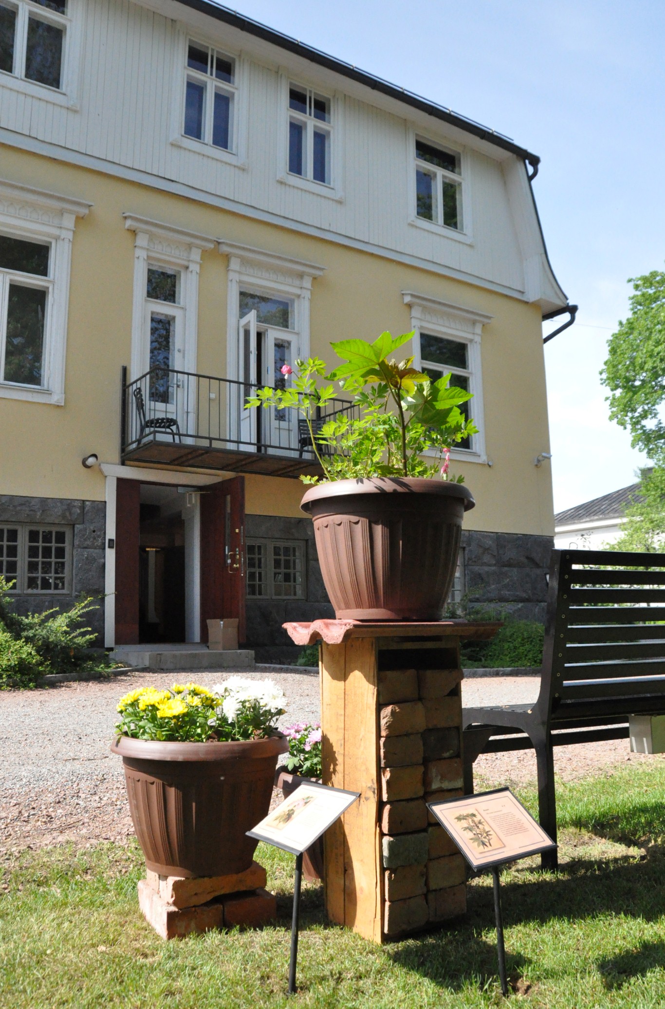 Emigranttipuutarha
