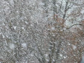 Lumisade, lumimyrsky