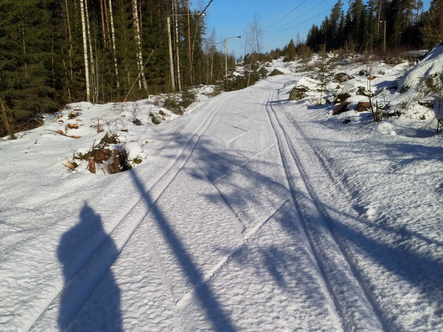 Aurajärvi