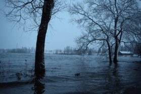 Patsaspuisto