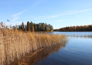 Houhajärvi, syksy