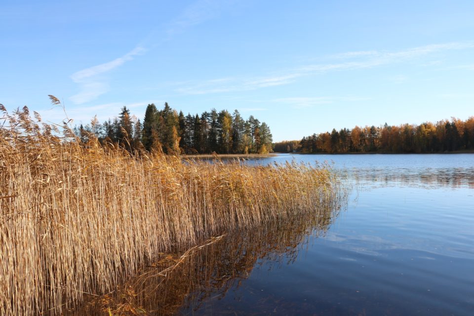 Houhajärvi, syksy