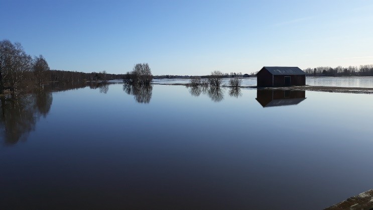Kokemäenjoki, tulva