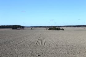 Pelto, kevät