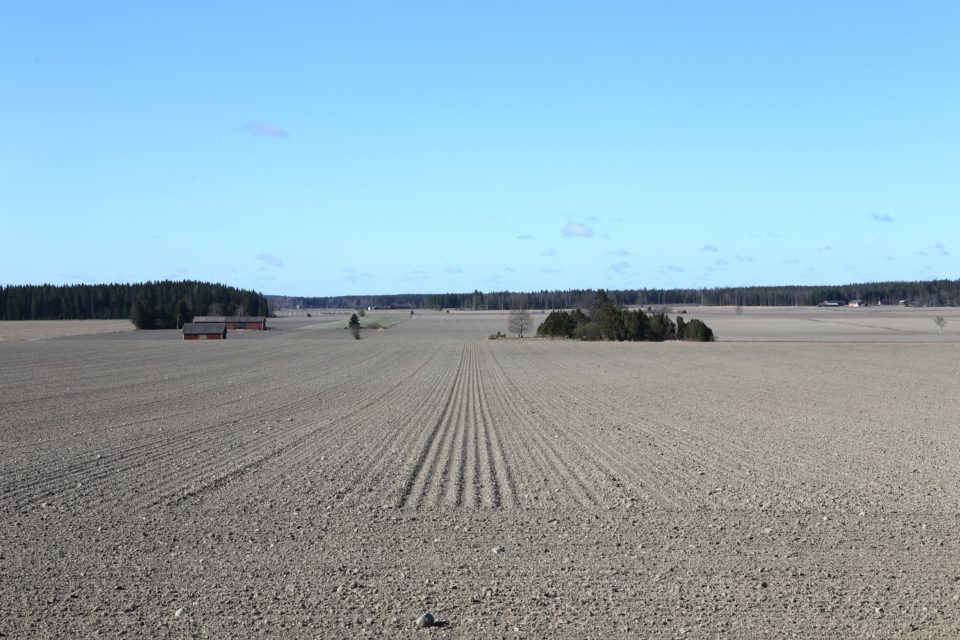 Pelto, kevät