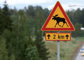 Hirvivaara
