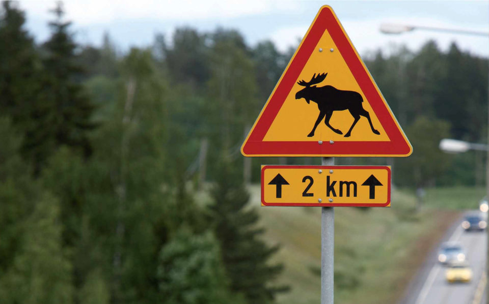 Hirvivaara