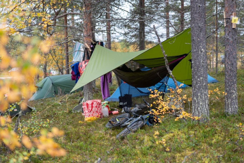 Nuku yö ulkona, Metsähotelli