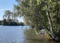 Järvi