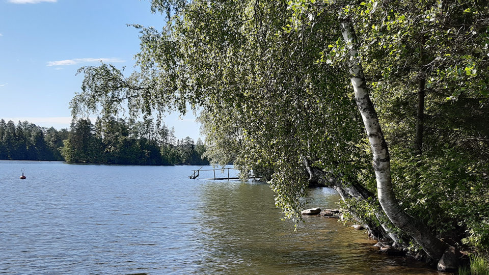 Järvi