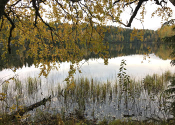 Järvi, ranta, syksy