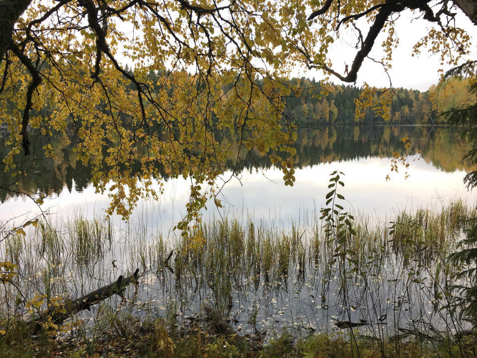 Järvi, ranta, syksy