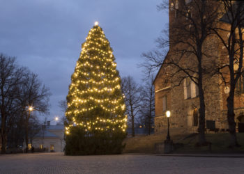 Turku, tuomiokirkko, joulukuusi