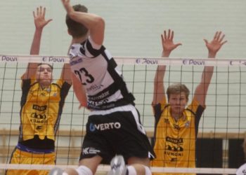 Savo Volley - VaLePa