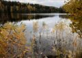 Järvi, syksy