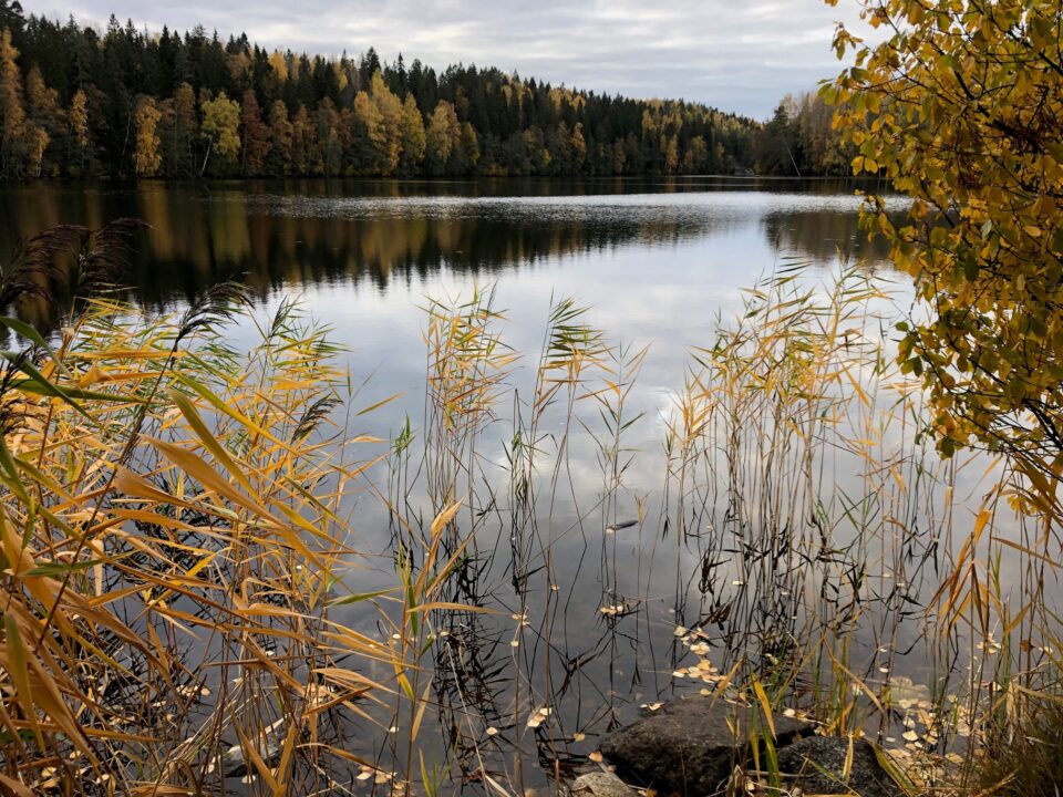 Järvi, syksy