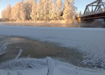 Kokemäenjoki, Kiikka