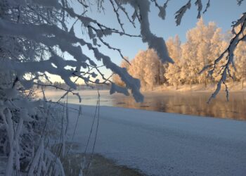 Kokemäenjoki, Kiikka