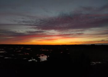 Kesäyö, Puurijärven ja Isosuon kansallispuisto