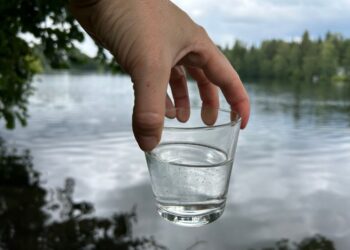 Sinilevä