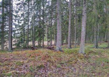 Punkalaidun, Kennin pohjavesialue