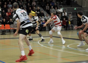 Tiikerit - VaLePa, 23.11.2024
