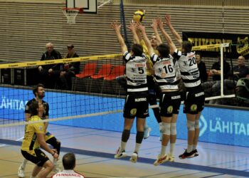 Tiikerit - VaLePa, 8.3.2025