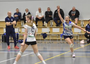 LP-Vampulan A-tytöt