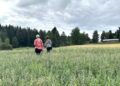 Peltotukivalvonnat, peltovalvonnat